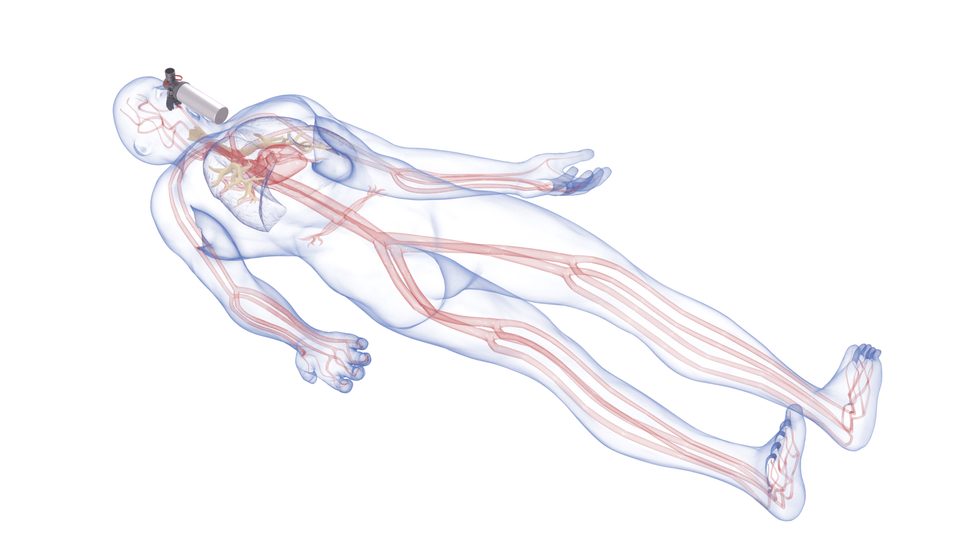 Emergency CPR with oxygen focus